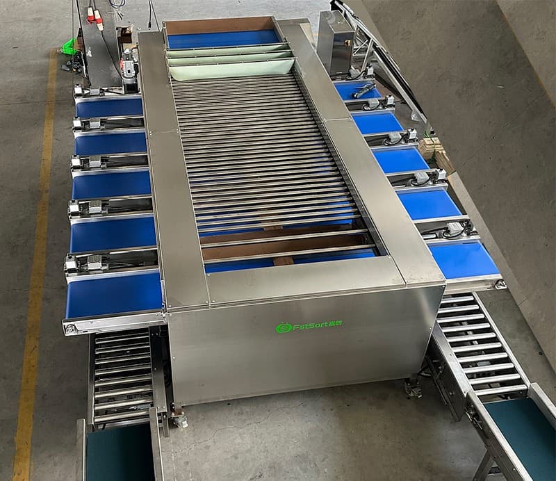 images/1716795221806lychee sorting machine.jpg